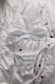 tiarella bra dainty wolf.jpg