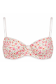 bloom_bra.png